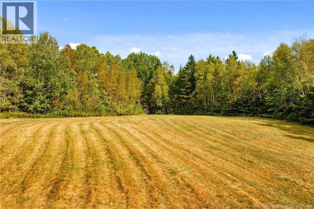 135 Hopkins Road, Gaspereau Forks, New Brunswick  E4A 2E6 - Photo 21 - NB126277
