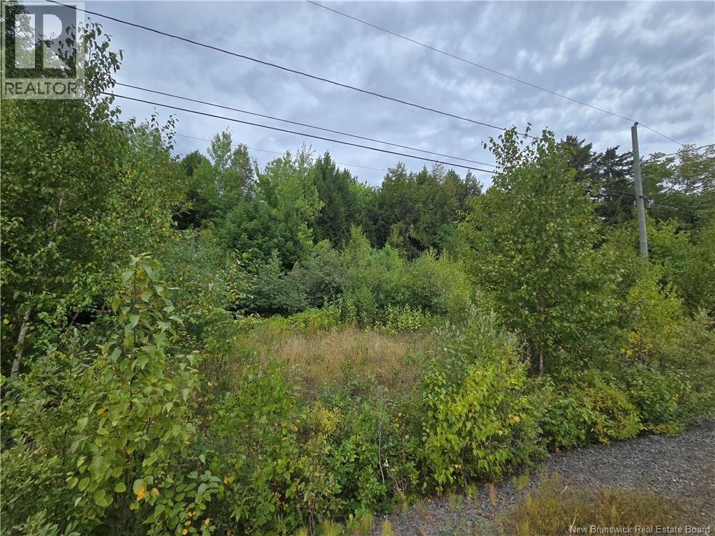 Lot Country Wood Lane, Richibucto Road, New Brunswick  E3A 0X7 - Photo 4 - NB126276