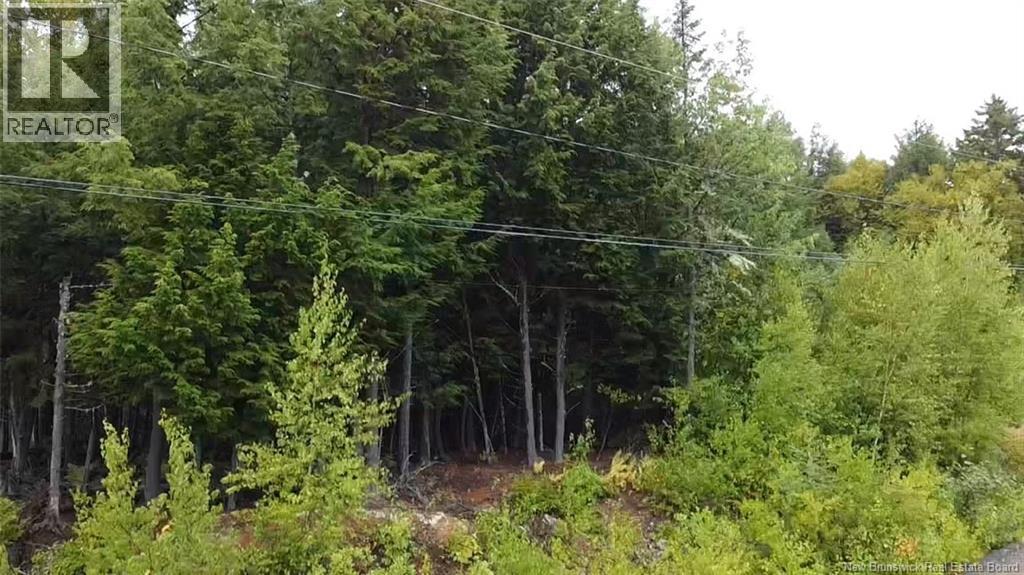 Lot Country Wood Lane, Richibucto Road, New Brunswick  E3A 0X7 - Photo 6 - NB126276