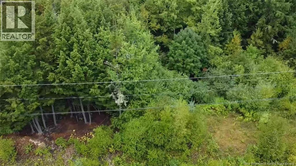 Lot Country Wood Lane, Richibucto Road, New Brunswick  E3A 0X7 - Photo 7 - NB126276