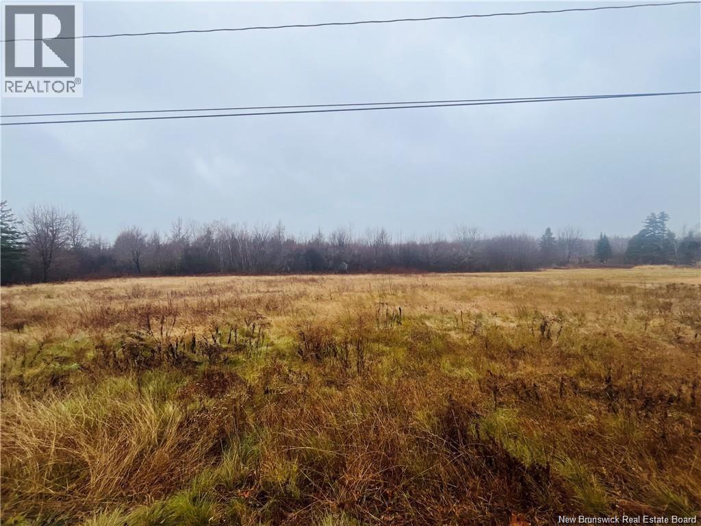 Route 118, Mckinleyville, New Brunswick  E9E 2G8 - Photo 6 - NB126281