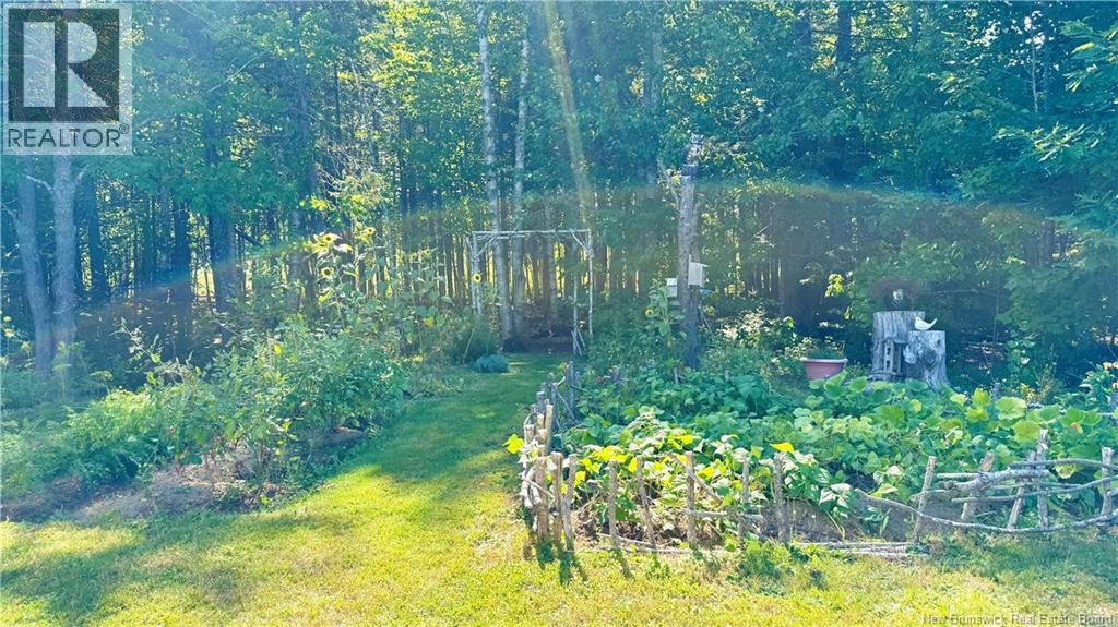 145 Route 480, Canisto, New Brunswick  E4X 1N7 - Photo 33 - NB126264