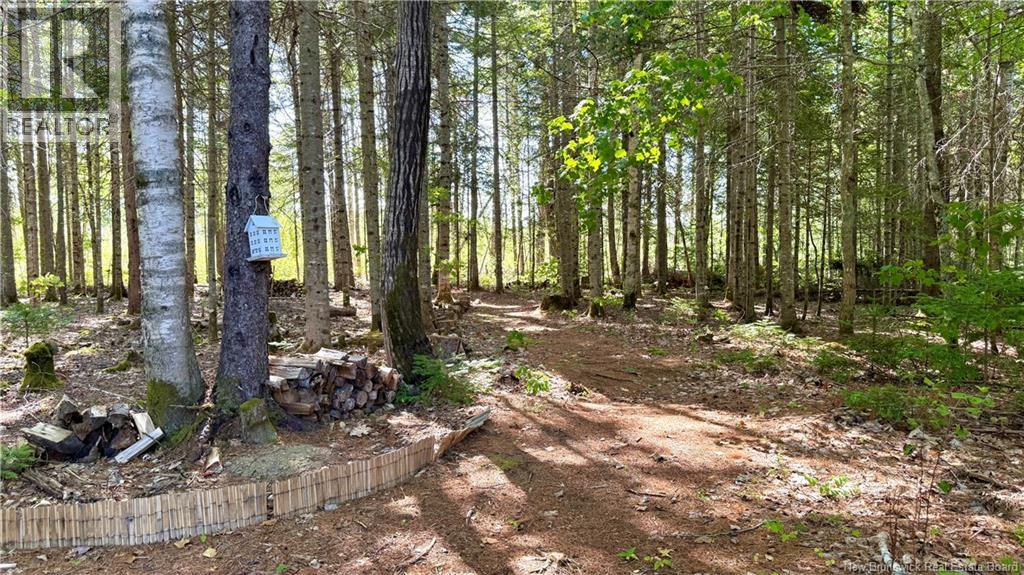 145 Route 480, Canisto, New Brunswick  E4X 1N7 - Photo 36 - NB126264