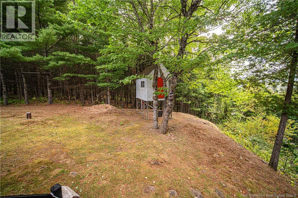 161 Storeytown Road, Doaktown, New Brunswick  E9C 1S3 - Photo 28 - NB126251