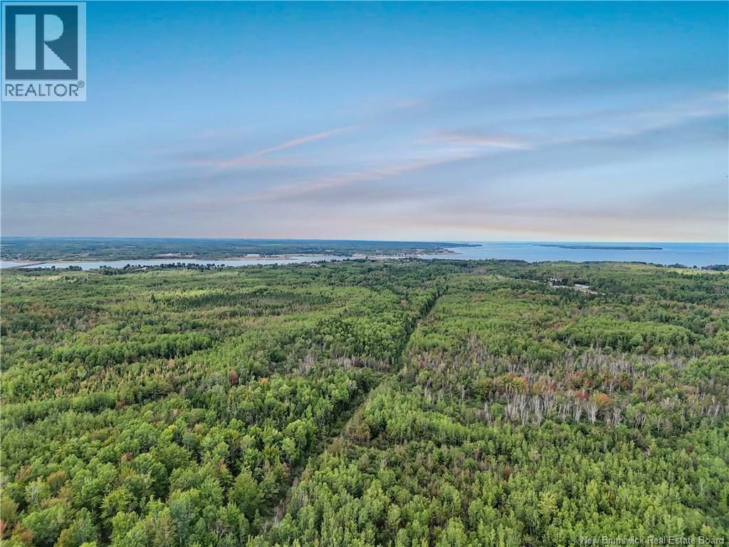 Lot - 4534 Route 134, Cocagne, New Brunswick  E4R 2Z3 - Photo 10 - NB126222