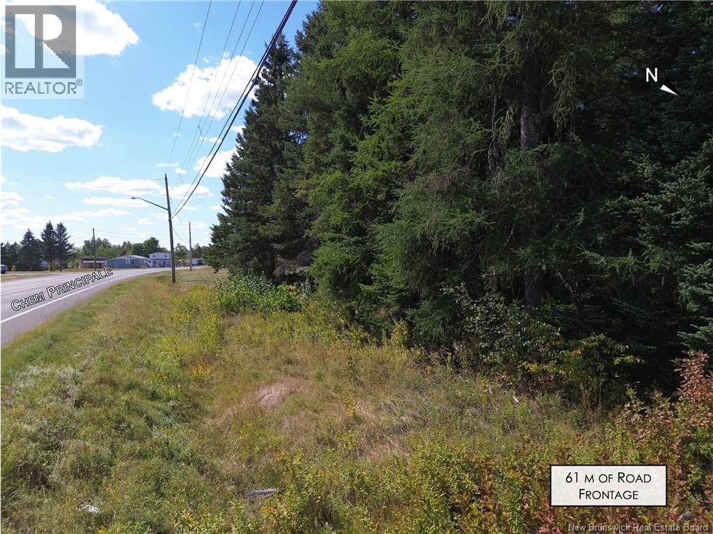 Lot Principal Road, Petit-Paquetville, New Brunswick  E8R 1G7 - Photo 9 - NB126351