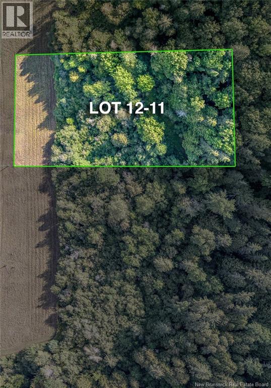 Vacant Lot Earl Lane, Kiersteadville, New Brunswick  E5N 7W7 - Photo 13 - NB126320