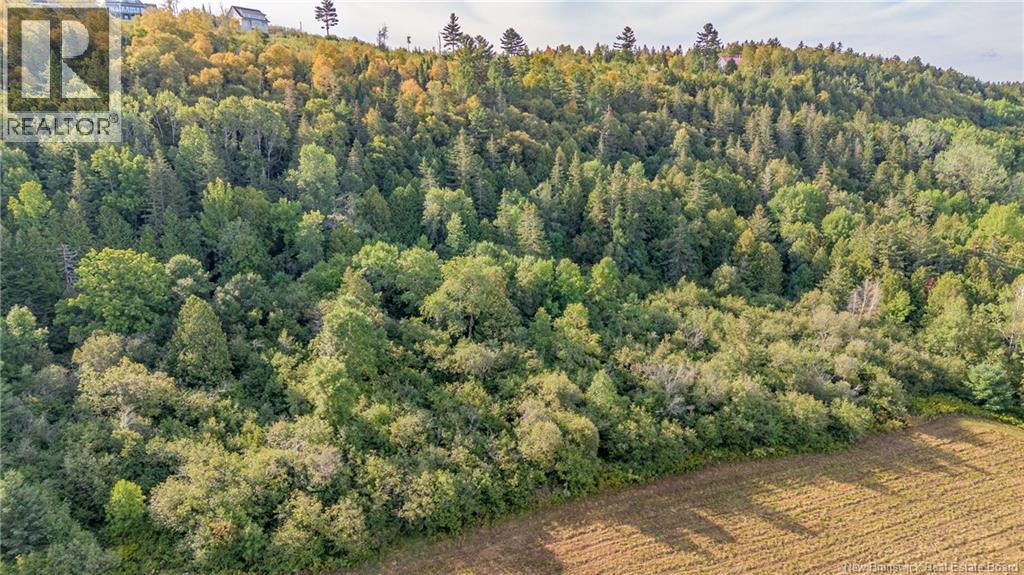 Vacant Lot Earl Lane, Kiersteadville, New Brunswick  E5N 7W7 - Photo 17 - NB126320