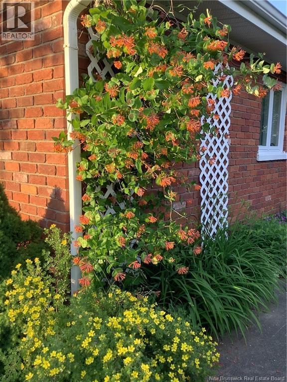 845 O'neil Avenue, Bathurst, New Brunswick  E2A 2L2 - Photo 42 - NB125996