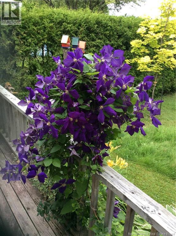 845 O'neil Avenue, Bathurst, New Brunswick  E2A 2L2 - Photo 44 - NB125996