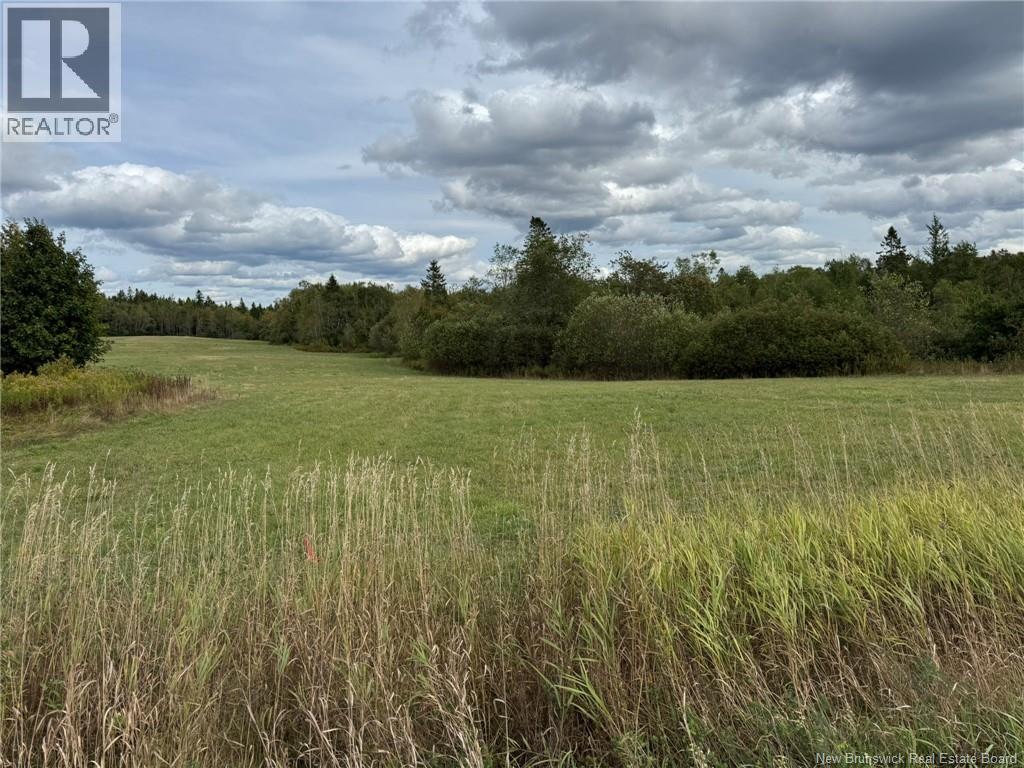 Tbd Guthrie Road, Norton, New Brunswick  E5T 2B7 - Photo 3 - NB126237