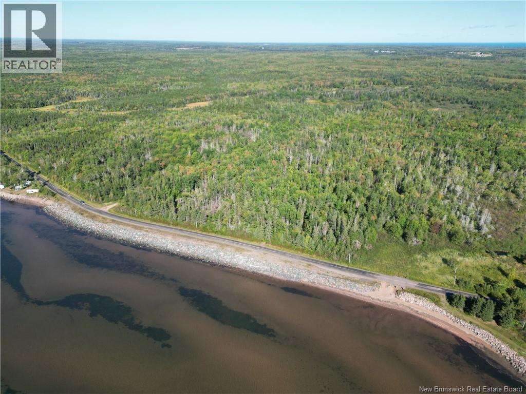 Lot Route 960, Cape Spear, New Brunswick  E4M 1S1 - Photo 3 - NB124677