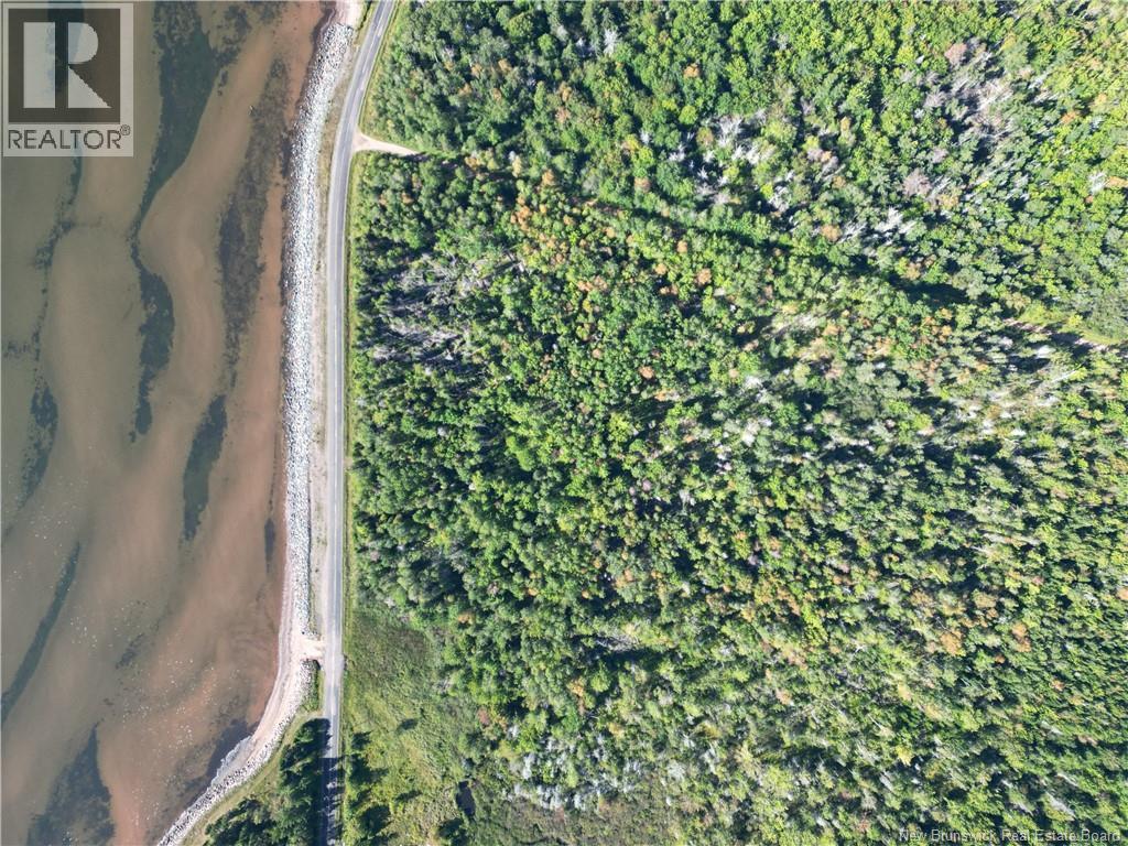 Lot Route 960, Cape Spear, New Brunswick  E4M 1S1 - Photo 4 - NB124677