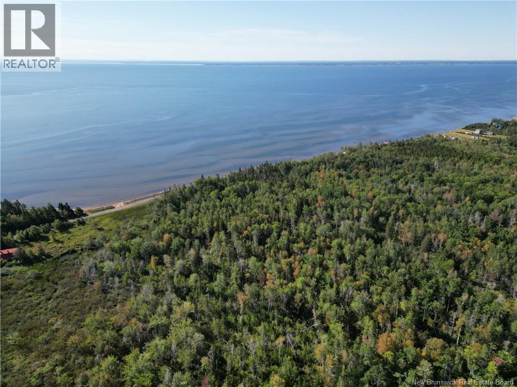 Lot Route 960, Cape Spear, New Brunswick  E4M 1S1 - Photo 5 - NB124677