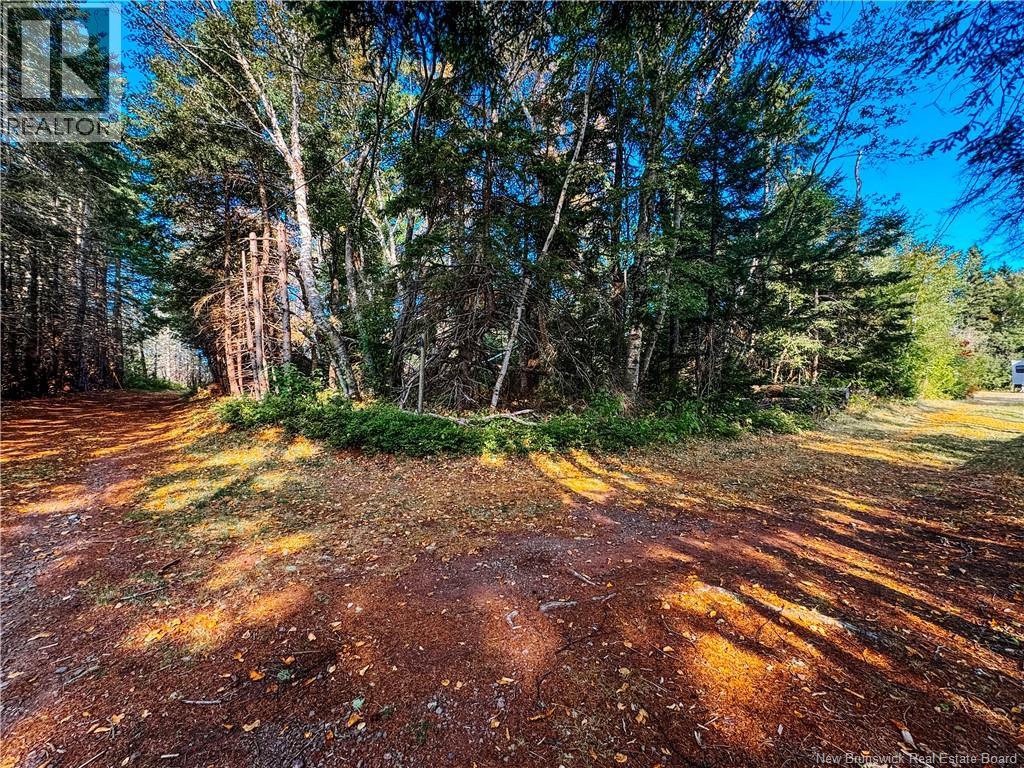 78 Irwin's Point Road, Baie Verte, New Brunswick  E4M 1J9 - Photo 43 - NB126376