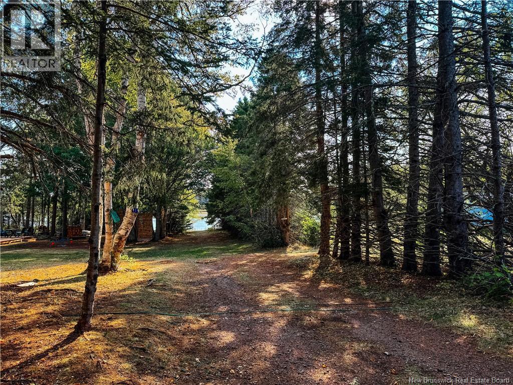 78 Irwin's Point Road, Baie Verte, New Brunswick  E4M 1J9 - Photo 44 - NB126376
