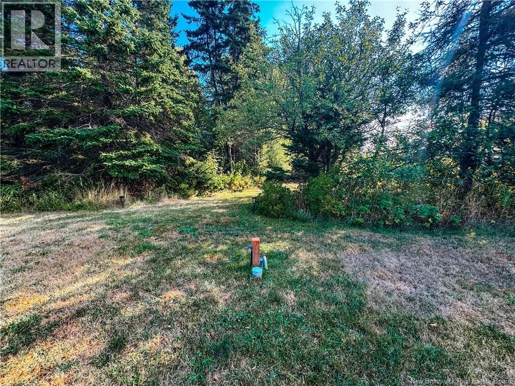 78 Irwin's Point Road, Baie Verte, New Brunswick  E4M 1J9 - Photo 45 - NB126376