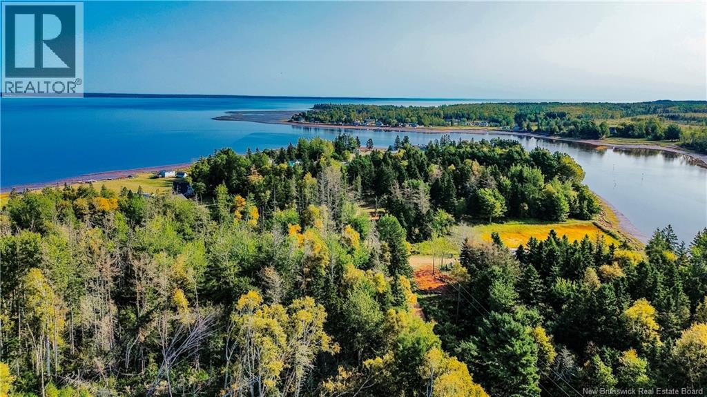 78 Irwin's Point Road, Baie Verte, New Brunswick  E4M 1J9 - Photo 49 - NB126376