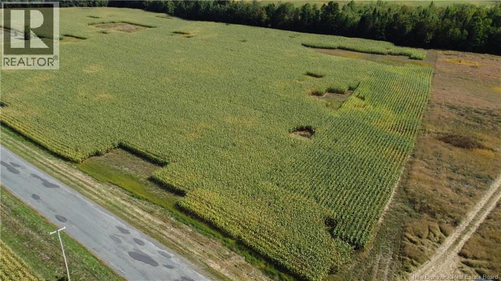 0 Bedell Settlement Road, Bedell, New Brunswick  E7M 4S2 - Photo 3 - NB126243