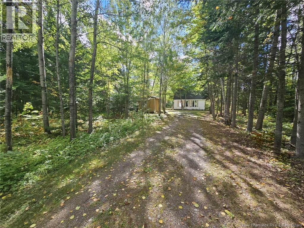 560cd Principale, Beresford, New Brunswick  E8K 2A8 - Photo 10 - NB126403