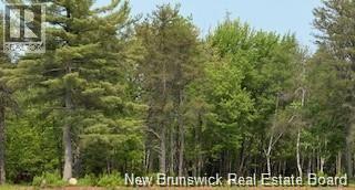 Lot Wegesegum Road, Chipman, New Brunswick  O0O 0O0 - Photo 10 - NB126361