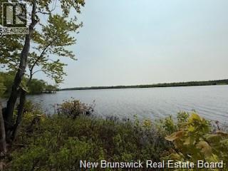 Lot Wegesegum Road, Chipman, New Brunswick  O0O 0O0 - Photo 11 - NB126361