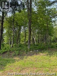 Lot Wegesegum Road, Chipman, New Brunswick  O0O 0O0 - Photo 13 - NB126361