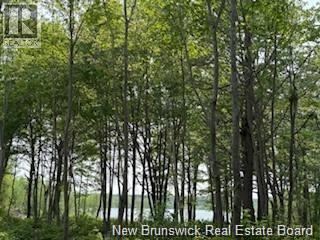 Lot Wegesegum Road, Chipman, New Brunswick  O0O 0O0 - Photo 15 - NB126361
