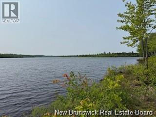 Lot Wegesegum Road, Chipman, New Brunswick  O0O 0O0 - Photo 3 - NB126361