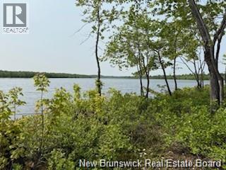 Lot Wegesegum Road, Chipman, New Brunswick  O0O 0O0 - Photo 9 - NB126361