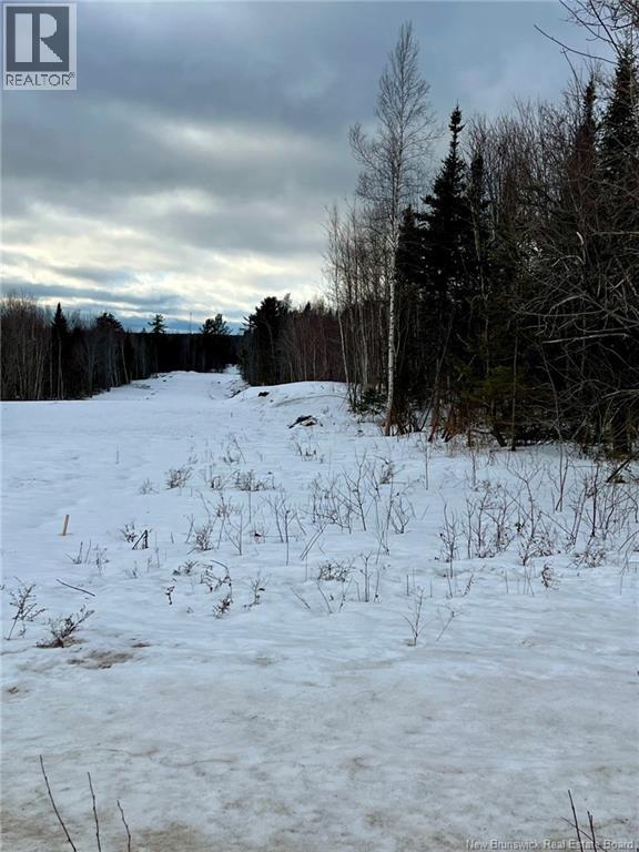 Vacant Lot Route 640, Yoho, New Brunswick  E6K 0B2 - Photo 3 - NB126461