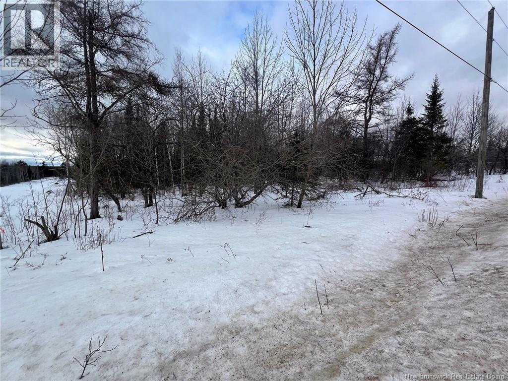 Vacant Lot Route 640, Yoho, New Brunswick  E6K 0B2 - Photo 4 - NB126461