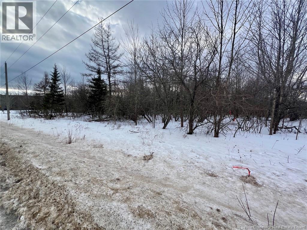 Vacant Lot Route 640, Yoho, New Brunswick  E6K 0B2 - Photo 6 - NB126461