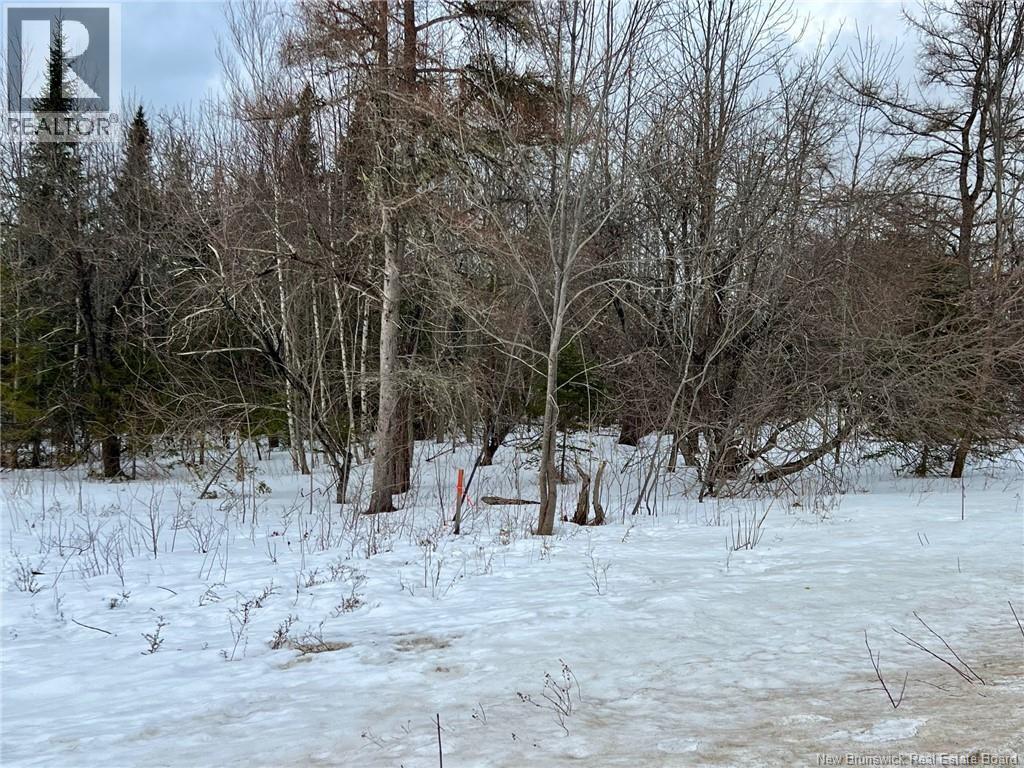 Vacant Lot Route 640, Yoho, New Brunswick  E6K 0B2 - Photo 8 - NB126461