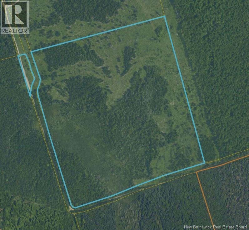 Lot Tingley Road, Caledonia Mountain, New Brunswick