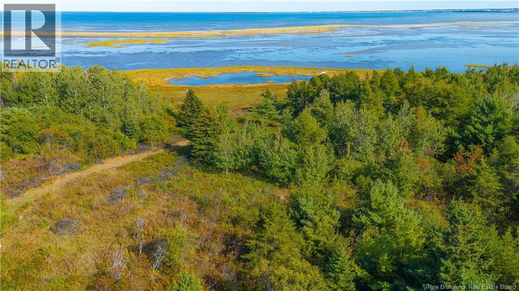 Lot Olivier Road, Maisonnette, New Brunswick  E8N 2A2 - Photo 11 - NB126481