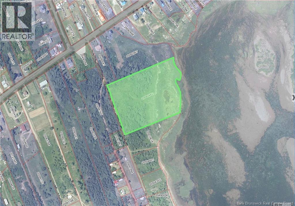 Lot Olivier Road, Maisonnette, New Brunswick  E8N 2A2 - Photo 17 - NB126481