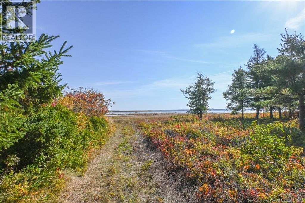Lot Olivier Road, Maisonnette, New Brunswick  E8N 2A2 - Photo 21 - NB126481