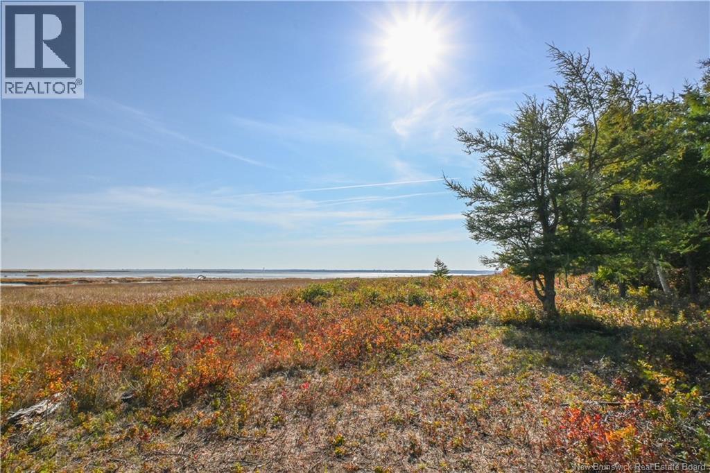 Lot Olivier Road, Maisonnette, New Brunswick  E8N 2A2 - Photo 24 - NB126481