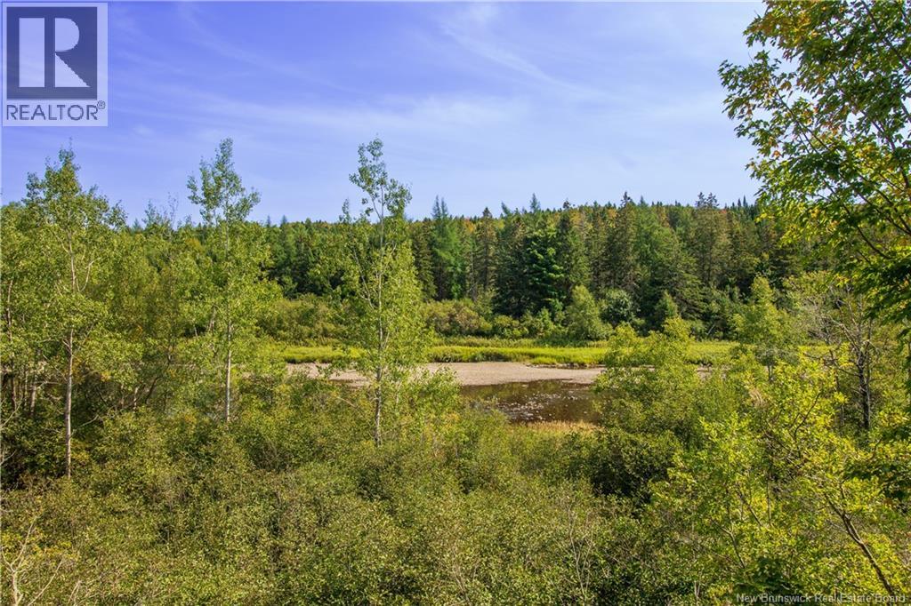 1146 860 Route, Smithtown, New Brunswick  E5N 4A3 - Photo 34 - NB126203