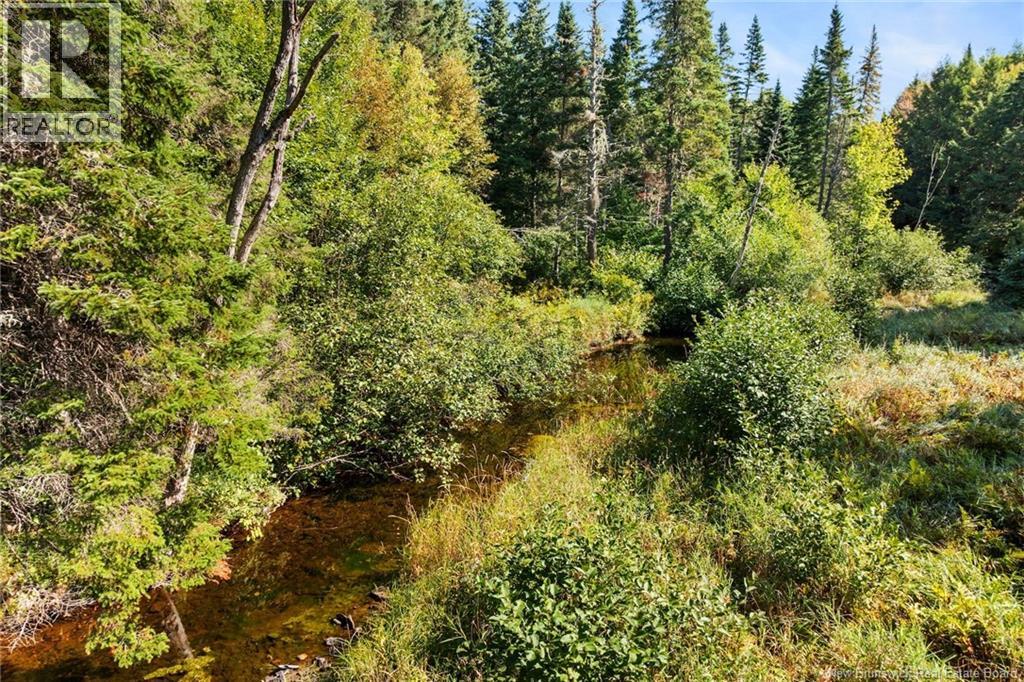 29 Route 116, Upper Salmon Creek, New Brunswick  E4A 1J6 - Photo 37 - NB126321