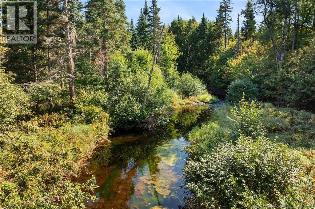 29 Route 116, Upper Salmon Creek, New Brunswick  E4A 1J6 - Photo 38 - NB126321