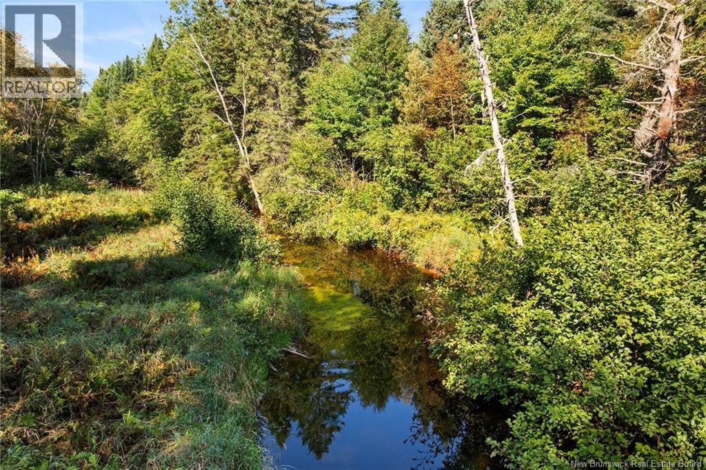 29 Route 116, Upper Salmon Creek, New Brunswick  E4A 1J6 - Photo 40 - NB126321