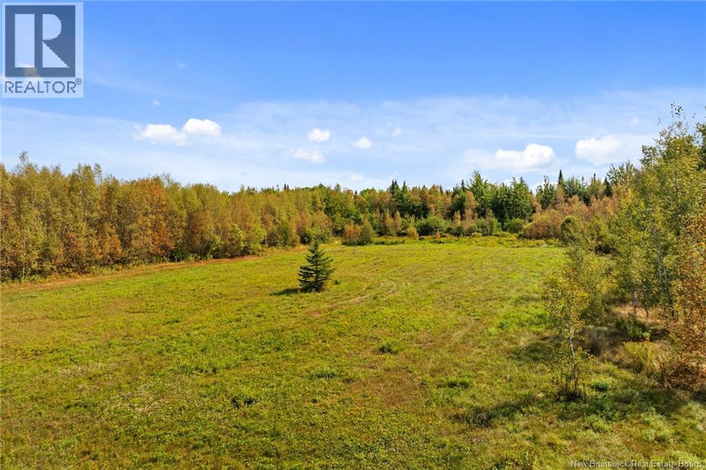 6664 Route 10, Upper Salmon Creek, New Brunswick  E4A 1H9 - Photo 41 - NB126317