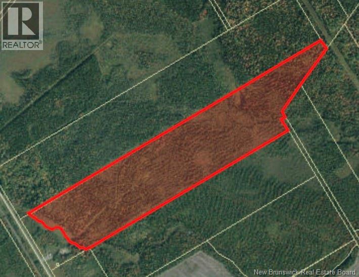 Lot Route 126, Saint-Paul, New Brunswick  E4T 2B5 - Photo 1 - NB126496