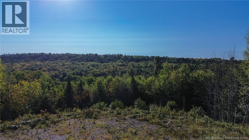 130 Leeland Way, Killarney Road, New Brunswick  E3A 5M7 - Photo 4 - NB126274