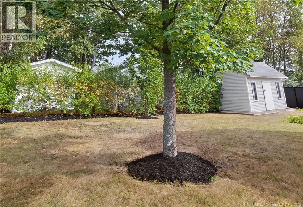 810 Centrale Street, Dieppe, New Brunswick  E1A 6V5 - Photo 37 - NB125359