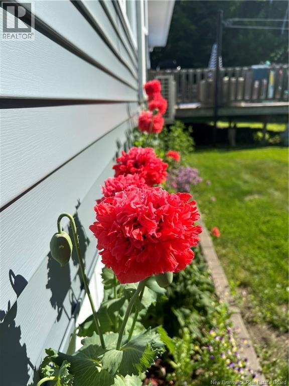 31 Andrew Street, Upper Kingsclear, New Brunswick  E3E 1T2 - Photo 34 - NB126557