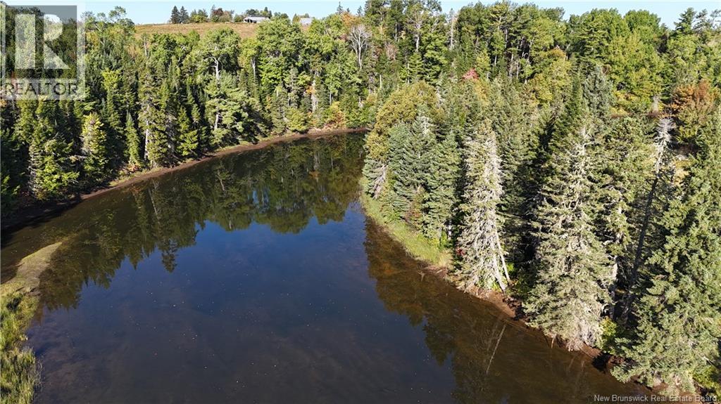 Lot 20-11 Michael Joo Road, Fords Mills, New Brunswick  E4T 0H1 - Photo 19 - NB126600