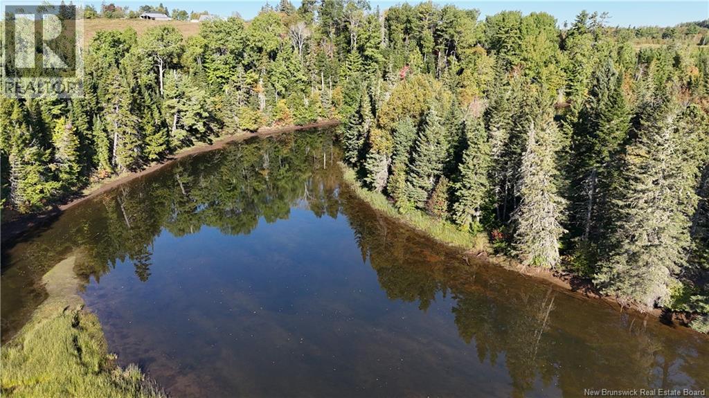 Lot 20-11 Michael Joo Road, Fords Mills, New Brunswick  E4T 0H1 - Photo 20 - NB126600